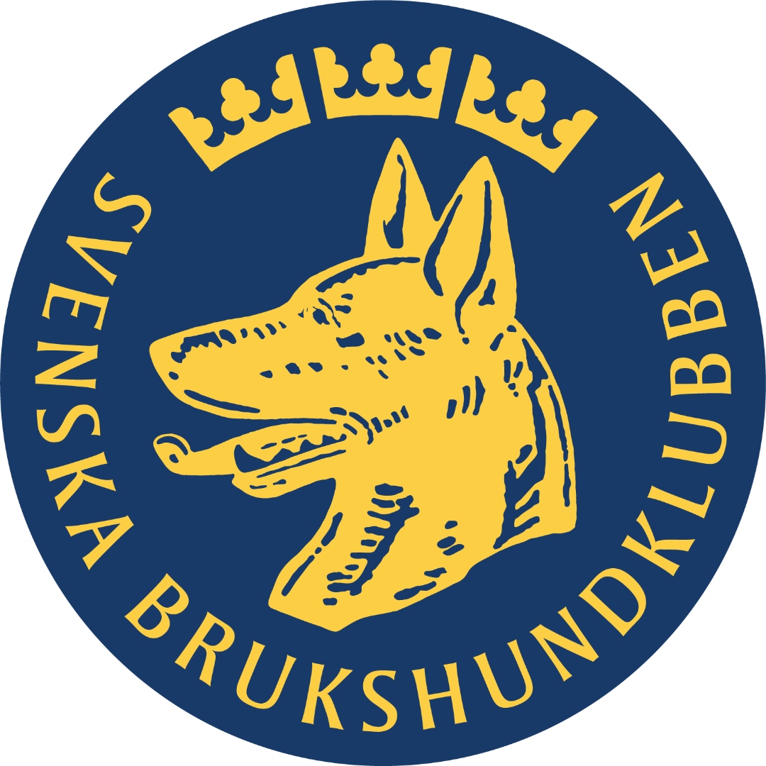 SBK logotyp
